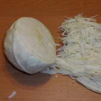 Solyanka פטריות - המתכונים הטעימים ביותר מפטריות טריות, יבשות וקפואות