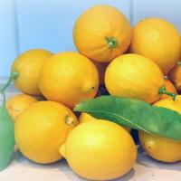 How to preserve fresh lemons at home: methods