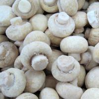 Cara membekukan champignon segar: rahasia menyimpan jamur di lemari es